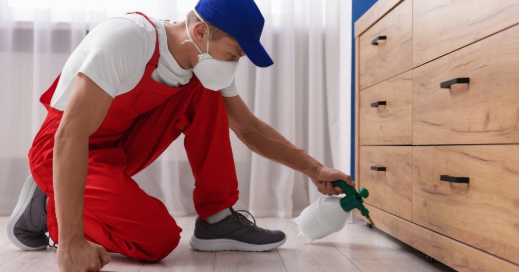 capa dedetizacao em Barueri